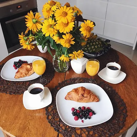 公寓 克拉科豪华公寓 *